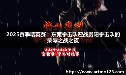 2025赛季精英赛：东莞拳击队迎战贵阳拳击队的荣辱之战之夜